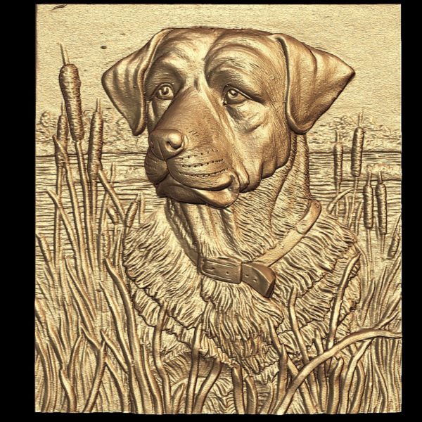 The head of a dog in the reeds